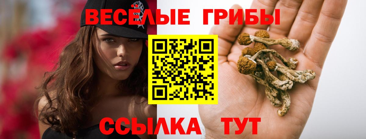 Сергиев Посад  Псилоцибиновые грибы GOLDEN TEACHER  Галлюциногенные грибы Magic Shrooms  Вход с VPN 